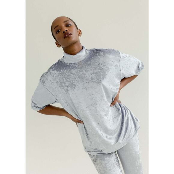 NEW Et Tigre Kenji Silver Metallic Velvet Velour Short Sleeve Mock Neck Top Sz S - Picture 1 of 10